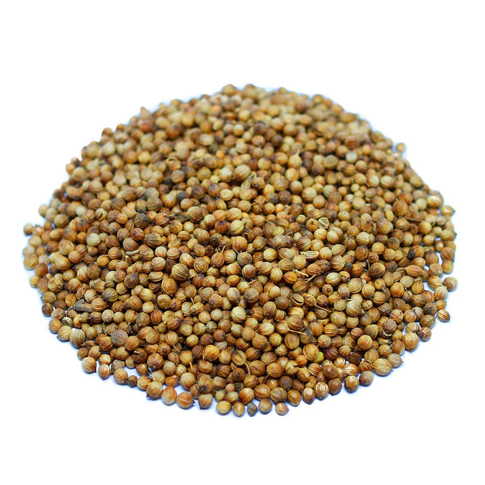 Coriander
